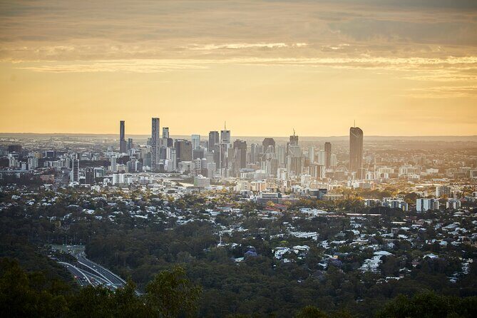 Brisbane Bus Tour: Max 10 people | Half Day | Morning tea inc. - Why Choose This Brisbane Bus Tour?