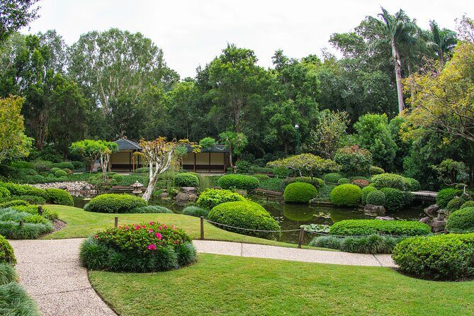 Brisbane Bus Tour: Max 10 people | Half Day | Morning tea inc. - Insights from Reviews