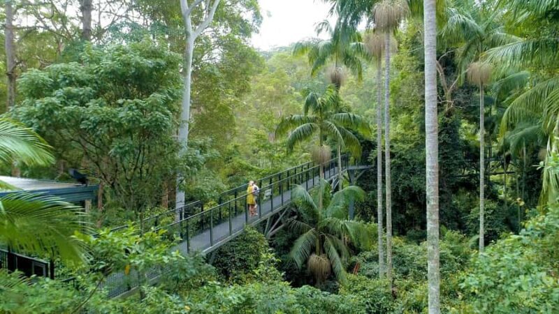 Brisbane: Daytime Glow Worm Caves Hop-on Hop-off Bus Tour - Authentic Experiences and Feedback from Travelers