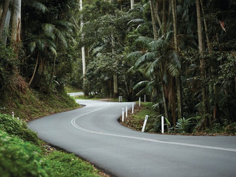 Brisbane: Daytime Glow Worm Caves Hop-on Hop-off Bus Tour - FAQs