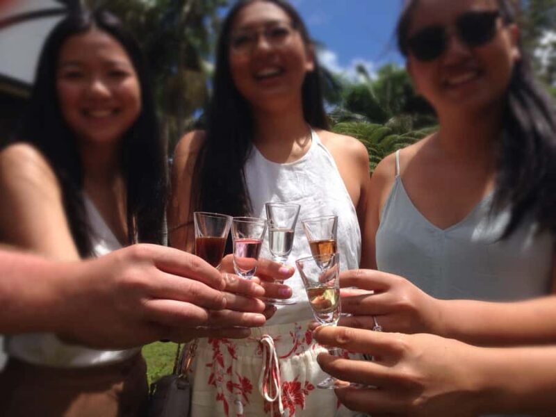 Brisbane Departure : Explore Tamborine Mountain Day Tour - Who Will Enjoy This Tour?