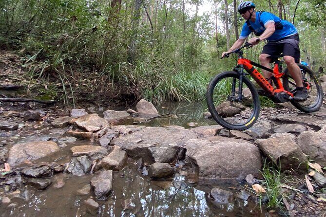Brisbane Electric Mountain Bike Experience Tour - What We Heard from Past Participants