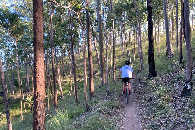 Brisbane Electric Mountain Bike Experience Tour - Value and Pricing