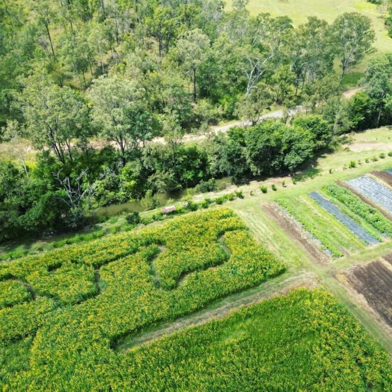 Brisbane Farm Day Trip | Ellia's Garden Scenic Rim - Why Choose Ellia’s Garden?