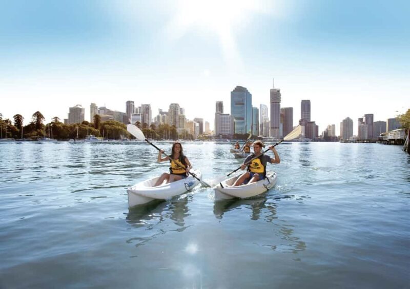 Brisbane: Guided River Kayak Tour - Key Points