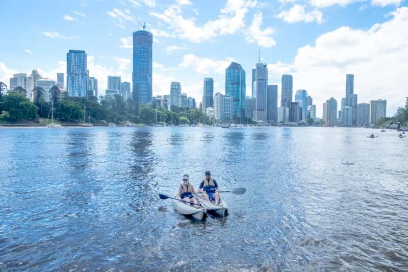 Brisbane: Guided River Kayak Tour - An Overview of the Guided River Kayak Tour