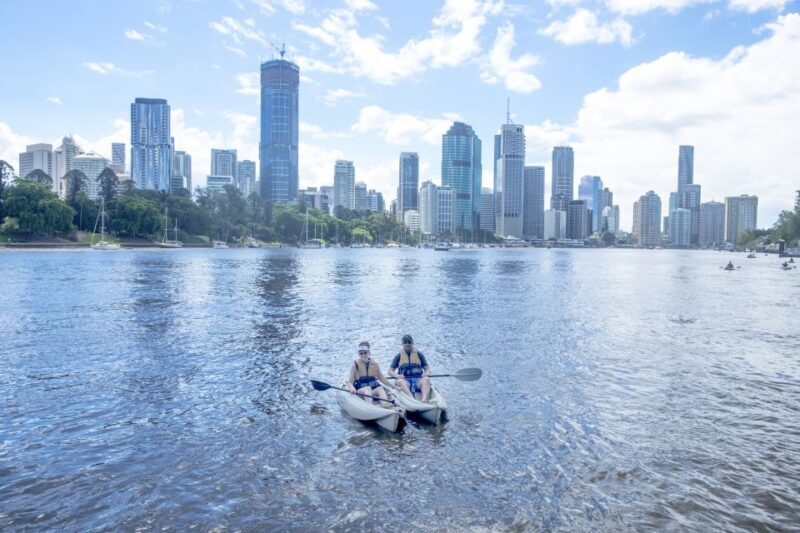Brisbane: Guided River Kayak Tour - The Reviews and Real Experiences