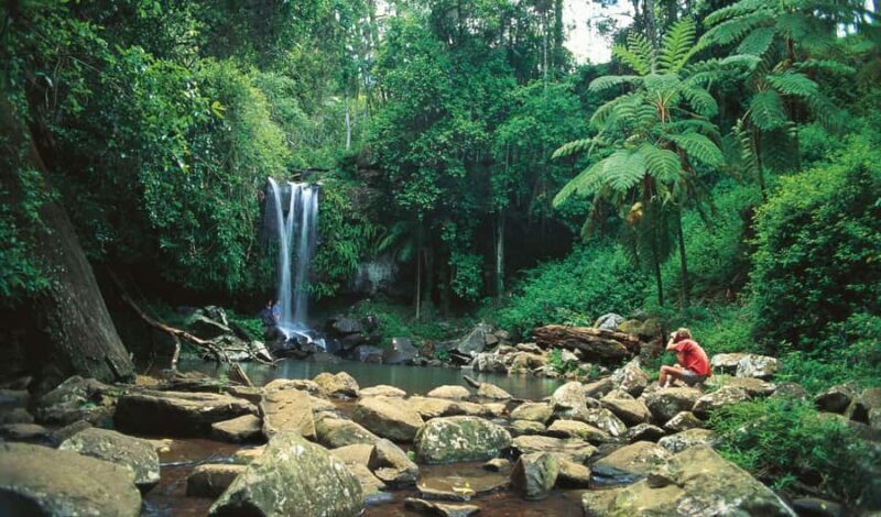 Brisbane: Hop on Hop off Bus to Tamborine Mountain - The Transit and Timing: What You Need to Know