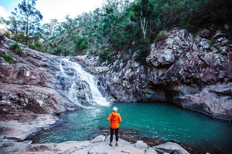 Brisbane: Hop on Hop off Bus to Tamborine Mountain - Who Will Love This Tour?