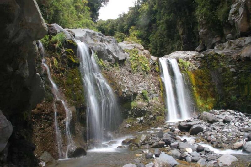Brisbane: Hop on Hop off Bus to Tamborine Mountain - The Sum Up