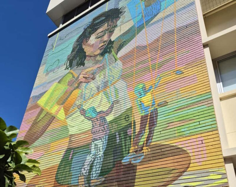 Brisbane: International Street Art Walking Tour - What to Expect from the Tour