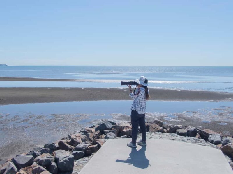 Brisbane: Kangaroos, Birds and Mangroves Coastal Tour - An Authentic Look at Brisbane’s Coastal Ecosystems