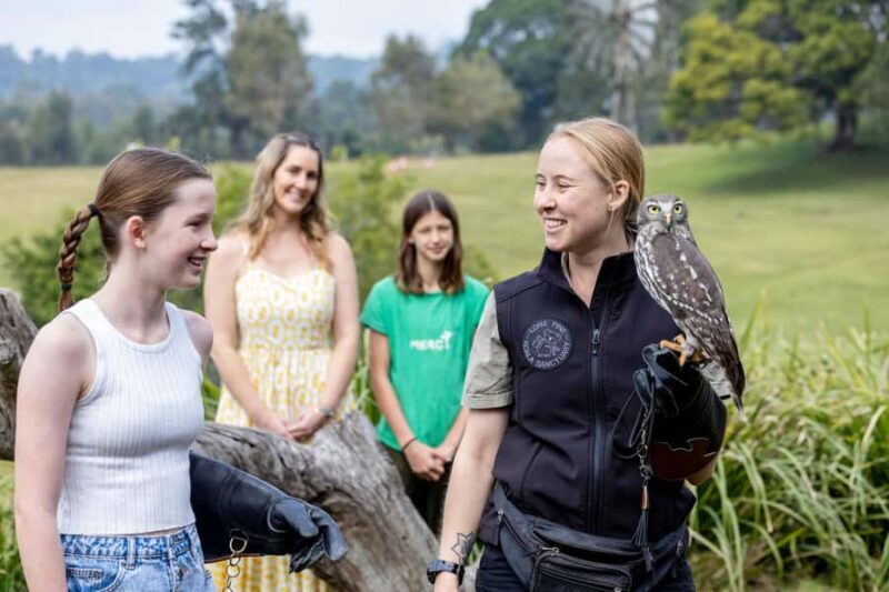 Brisbane: Lone Pine Koala Sanctuary Day Pass - Who Should Consider This Experience?