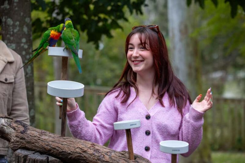 Brisbane: Lone Pine Koala Sanctuary Day Pass - FAQ