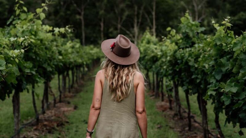 Brisbane: Luxury Winery Tour with Gourmet Lunch & Distillery - Key Points