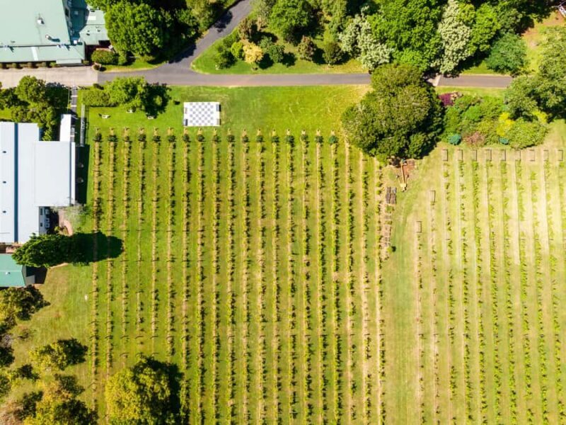 Brisbane: Luxury Winery Tour with Gourmet Lunch & Distillery - Frequently Asked Questions (FAQs)