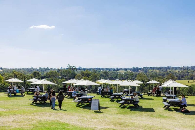 Brisbane: Moreton Bay Winery & Brewery Tour with Lunch - A Comprehensive Look at the Tour Experience