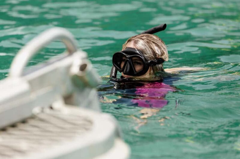 Brisbane: Moreton Island all inclusive Snorkeling Tour - Beach Time and Lunch
