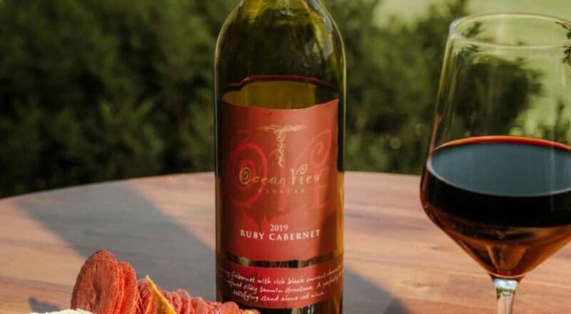 Brisbane: Picnic in the Vines - An Overview of the Experience