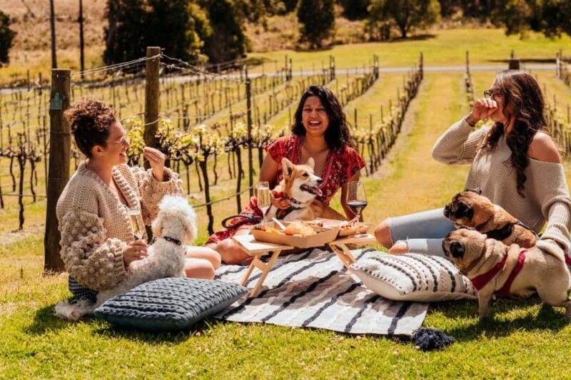 Brisbane: Picnic in the Vines - Evaluating the Value