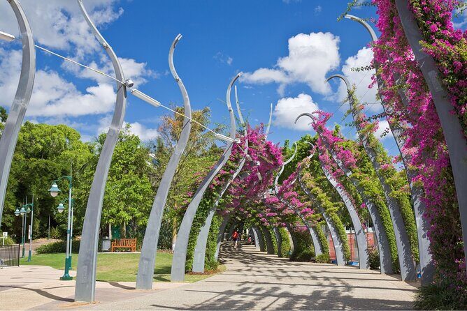 Brisbane Private Custom Walking Tour with A Guide (Private Tour) - The Experience from the Reviews: Authentic Insights