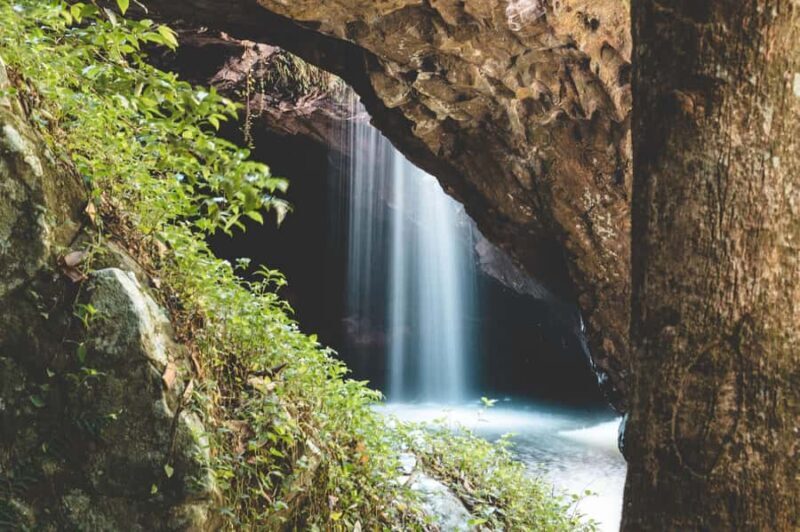 Brisbane: Rainforests, Waterfalls and Glow Worm Cave Tour - The Itinerary and What You Can Expect