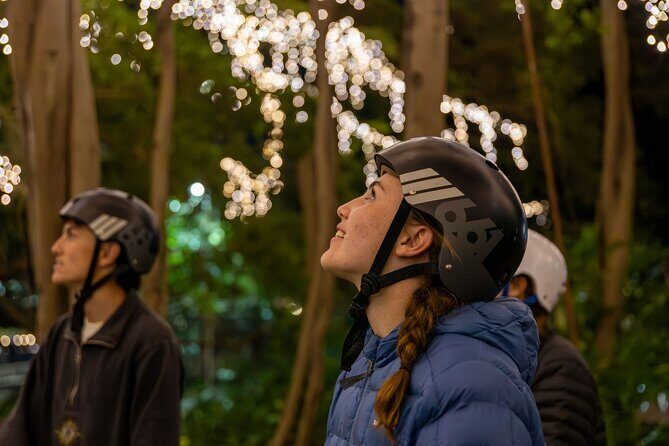 Brisbane Segway Sightseeing Tour - The Sum Up: Who Will Love This Tour?