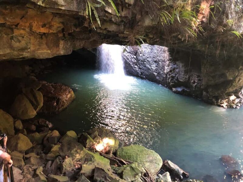 Brisbane: Springbrook and Mt Tamborine Glow Worm and Skywalk - Detailed Breakdown of the Itinerary