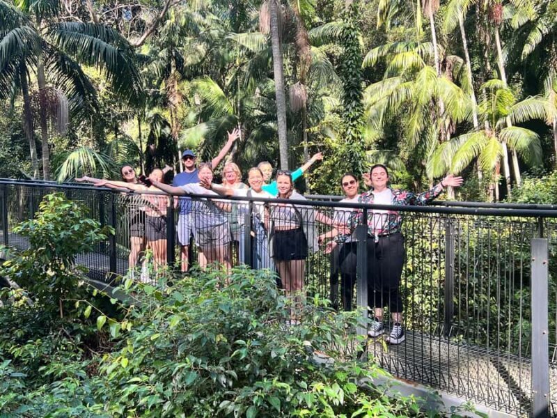 Brisbane: Springbrook and Mt Tamborine Glow Worm and Skywalk - What Travelers Say