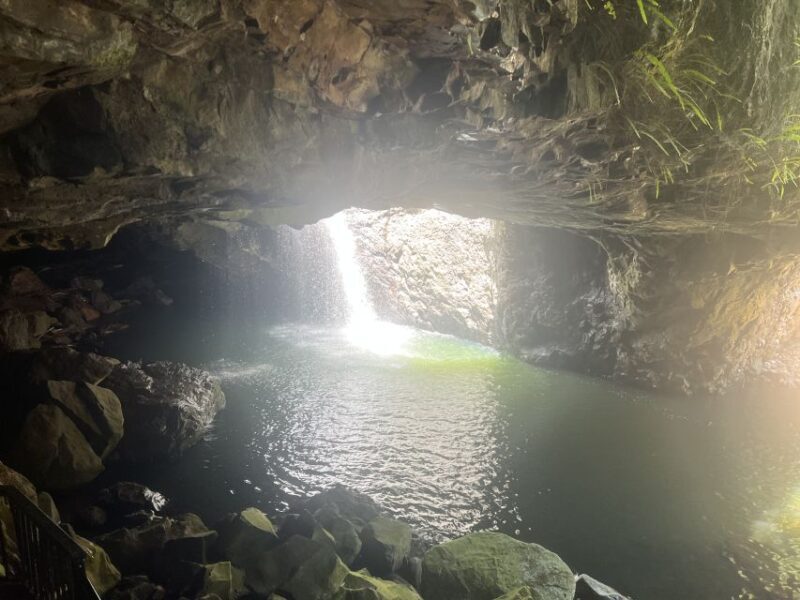 Brisbane: Springbrook and Mt Tamborine Glow Worm and Skywalk - FAQ