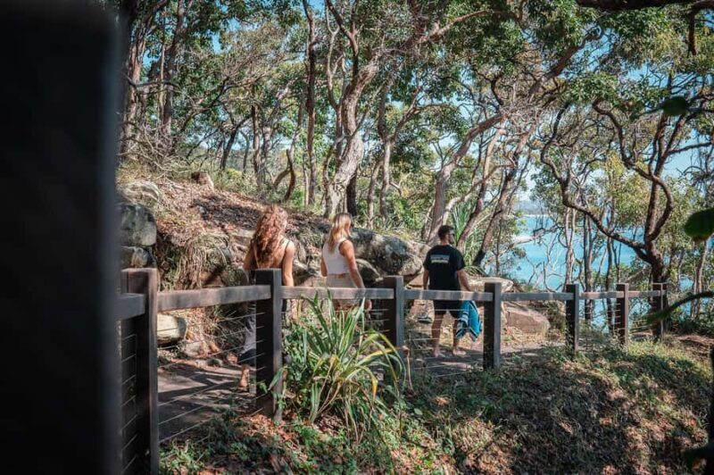 Brisbane: Sunshine Coast Hinterland & Noosa Scenic Tour - Possible Drawbacks & Considerations
