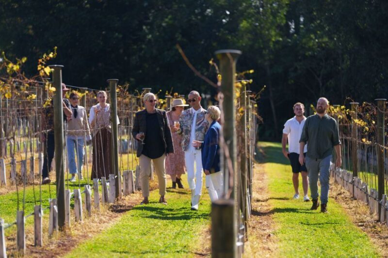 Brisbane: Tamborine Wine & Distillery Tour + 2 Course Lunch - Analyzing the Value