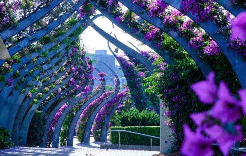 Brisbane, the River City Walking Tour - A Brief Introduction to the Experience