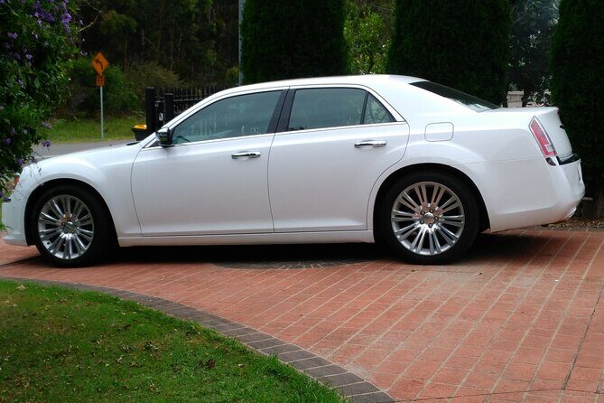 Brisbane to Brisbane Airport (BNE) - Departure Private Transfer - Final Thoughts: Who Is This Service Best For?