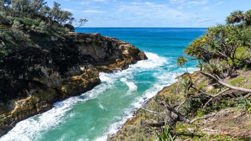 Brisbane to North Stradbroke Island Day: Wildlife & Beaches - Introduction