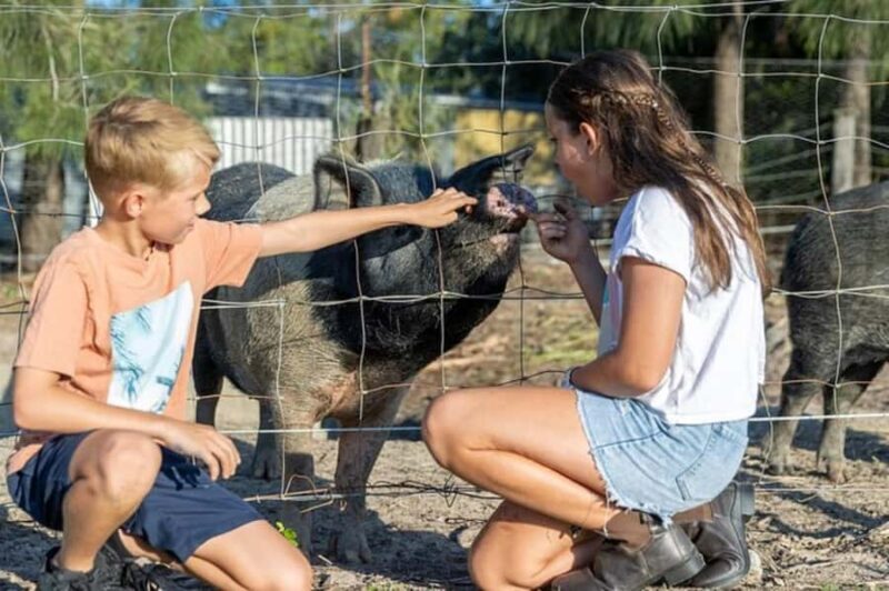 Brisbane: Trevena Glen Farm 1hr Animal Experience - An Introduction to Trevena Glen Farm Animal Experience