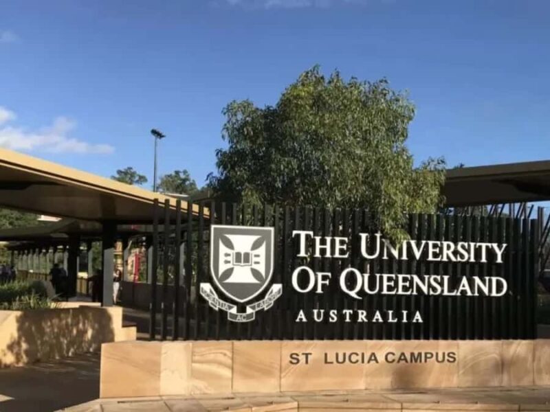 Brisbane: University of Queensland Guided Walking Tour - What You Can Expect from the Tour