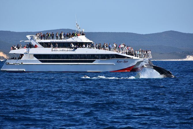 Brisbane Whale Watching Cruise from Redcliffe or Sunshine Coast - FAQ