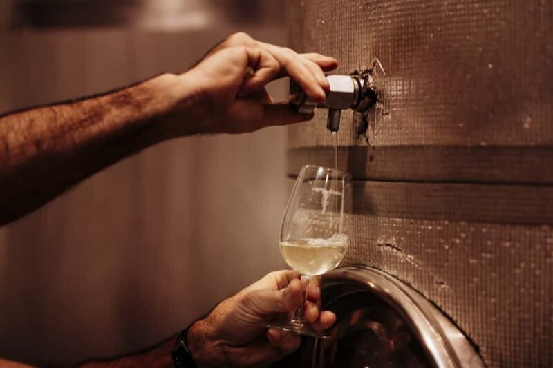 Brisbane: Wine & Dine In The Vines - Key Points