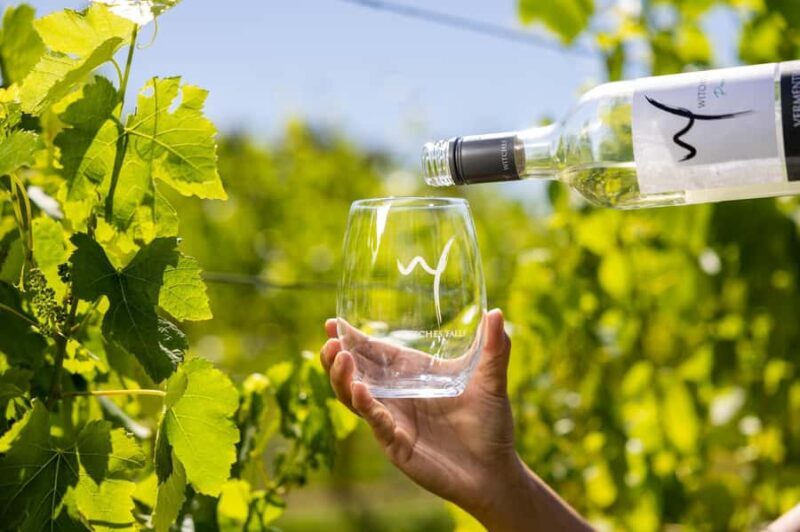 Brisbane: Wine Tasting - Hop on Hop off Tour to Mt Tamborine - Value and Practical Tips