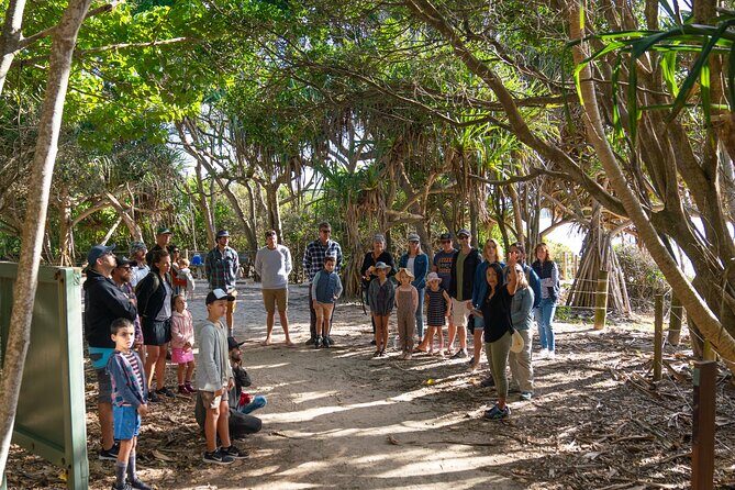 Broken Head Aboriginal Tour - Who Will Love This Experience?