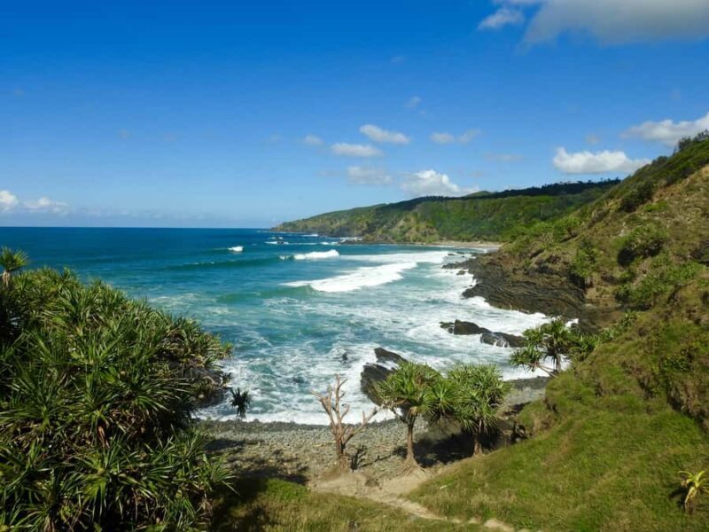 Broken Head: Nature Reserve Guided Eco-Tour with Beach Visit - Final Thoughts: Who Will Love This Tour?