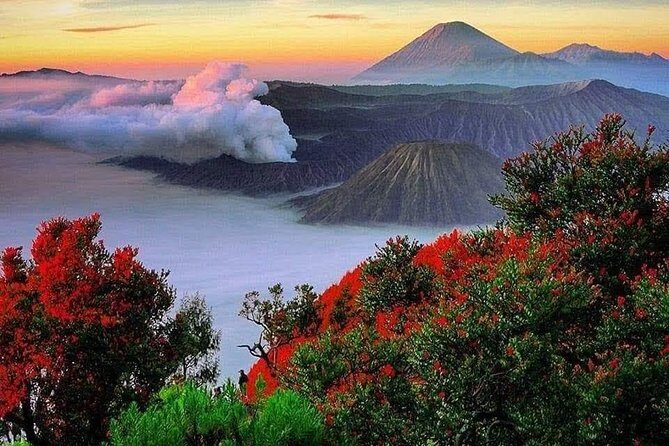 Bromo Ijen Tour From Bali - What Travelers Say