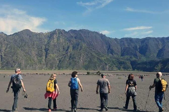 Bromo sunrise tour via Tumpang - start Malang // 1 day tour - What the Reviews Say