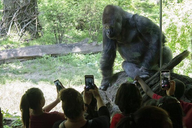 Bronx Zoo Admission Ticket - Who Will Love This Experience?