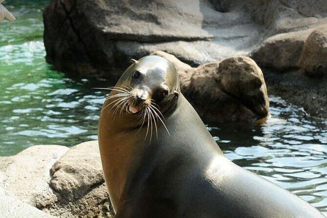 Bronx Zoo Admission Ticket - Final Thoughts