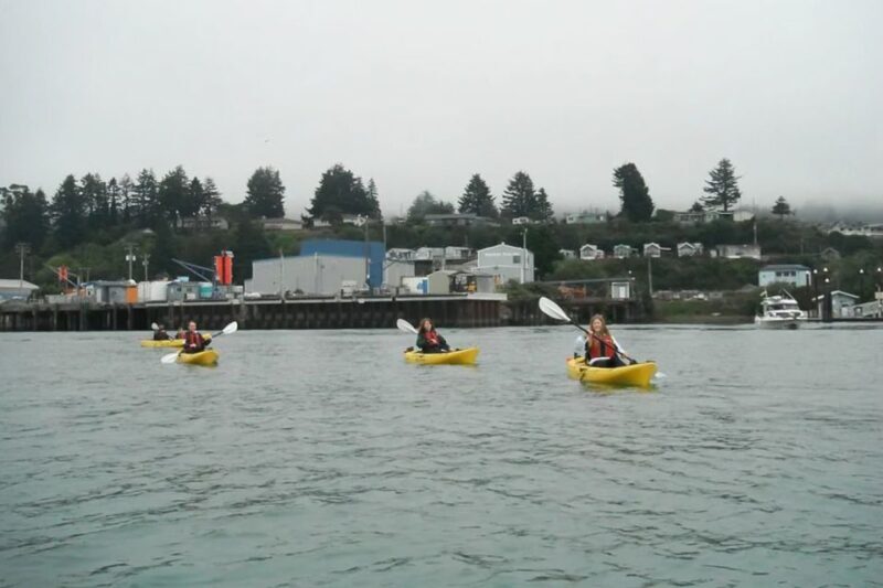 Brookings: Chetco River Kayak Tour - The Value of Guided Nature Tours