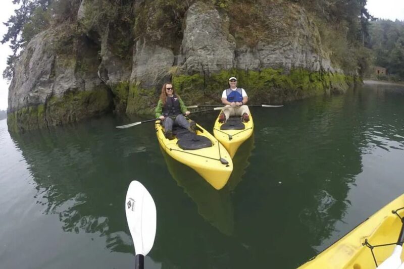 Brookings: Pacific Ocean Kayak Tour - Key Points