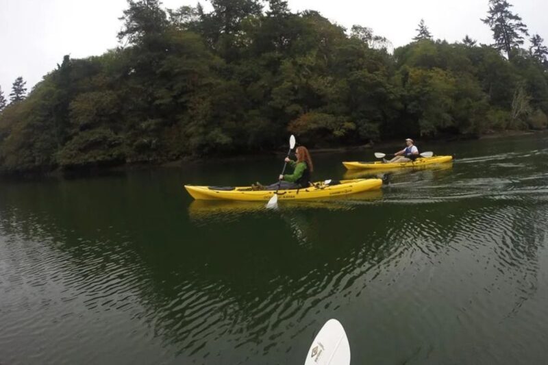 Brookings: Pacific Ocean Kayak Tour - Paddling Experience and Equipment