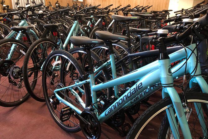Brooklyn Neighborhoods Small-Group Bike Tour - Practical Tips for Participants